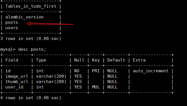 GitHub Codespaces 持久化存储：数据卷配置与资源保留策略