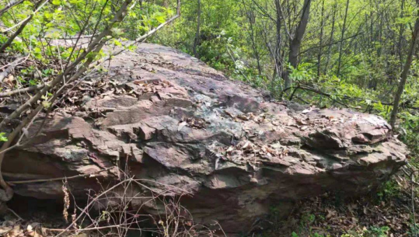 住宅西北方有个信号塔风水好不好