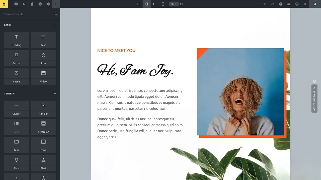 WordPress主题Bricks v1.9 破解版 WordPress主题Bricks v1.9 破解版
