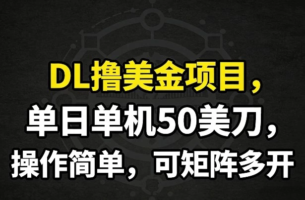 DL撸美金项目，单日单机50美刀，操作简单，可矩阵多开