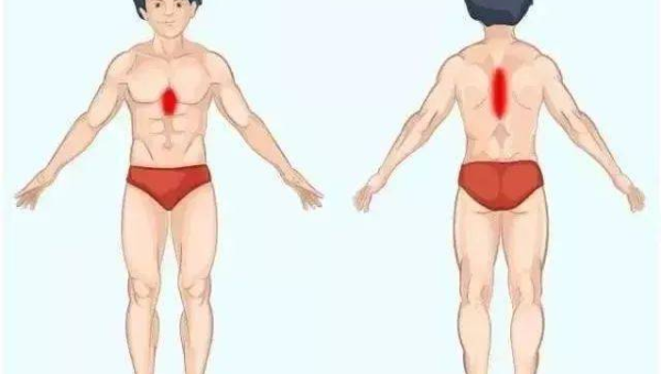 巴西与中国 AI 模型发展对比分析表