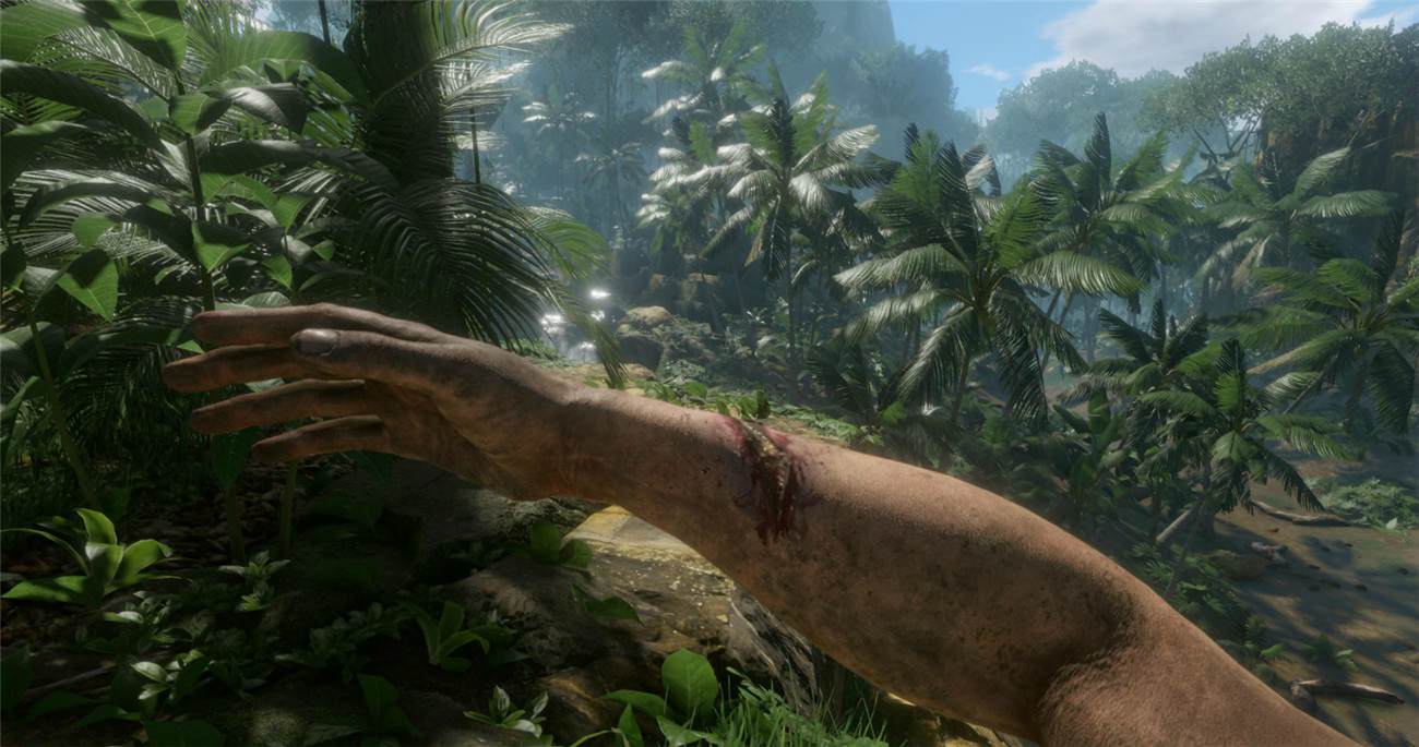 《绿色地狱》v2.9.0中文版-趣奇资源网-第11张图片 《绿色地狱》v2.9.0中文版-趣奇资源网-第11张图片