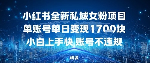小红书全新私域女粉项目单账号单日变现多张，小白上手快账号不违规建议准备多账号操作