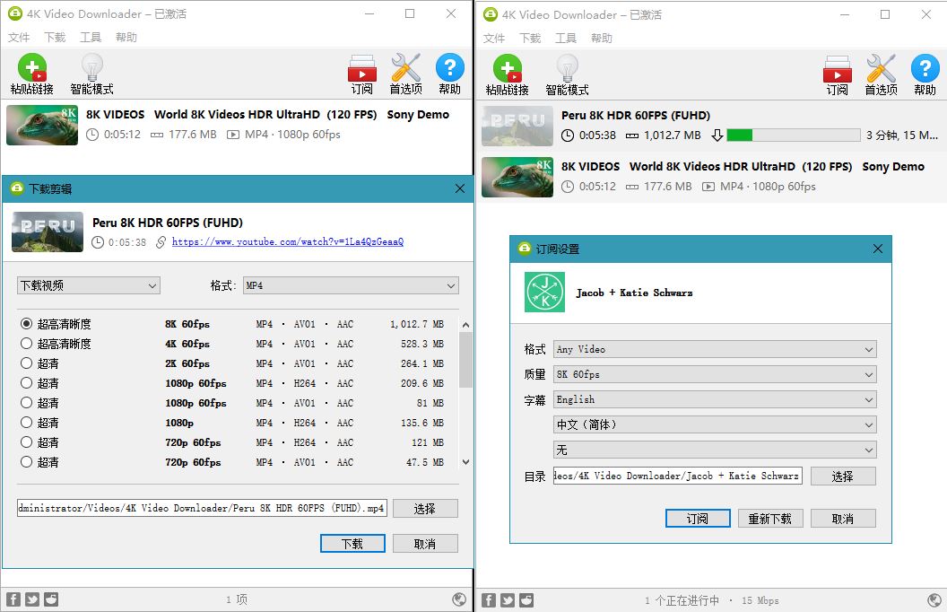 4K Video Downloader v4.33.2.0164-趣奇资源网-第6张图片 4K Video Downloader v4.33.2.0164-趣奇资源网-第6张图片