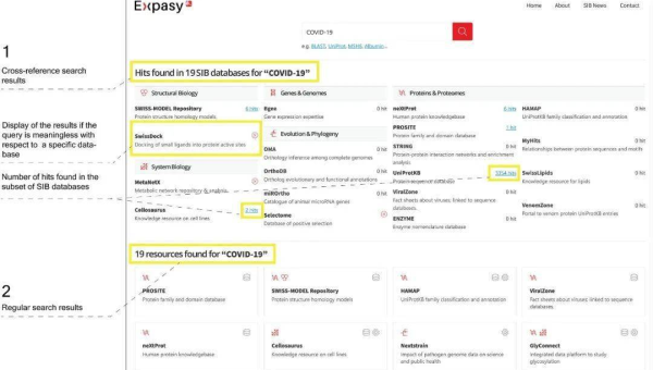 服务器选择攻略：匹配网站 SEO 需求