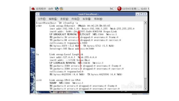 Linux 中如何查看和管理网络连接