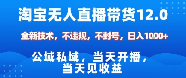 淘宝无人直播12.0，公域私域技术，不封号，不违规布局双十一流量风口，日入1k（独家技术）【揭秘】