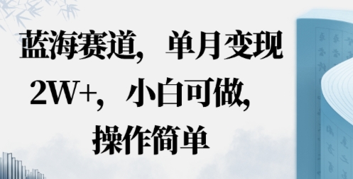 蓝海赛道,小红书私域项目,单月变现2W+,小白可做,操作简单