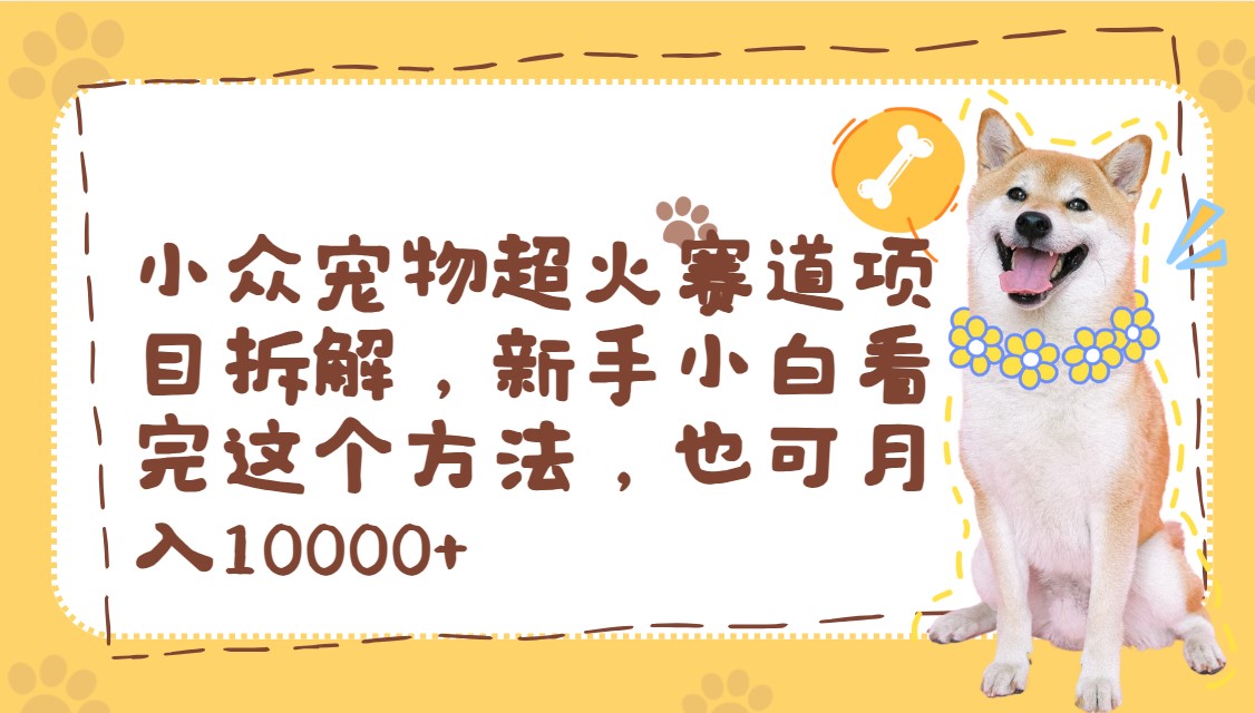 小众宠物超火赛道项目拆解，新手小白看完这个方法，也可月入10000+