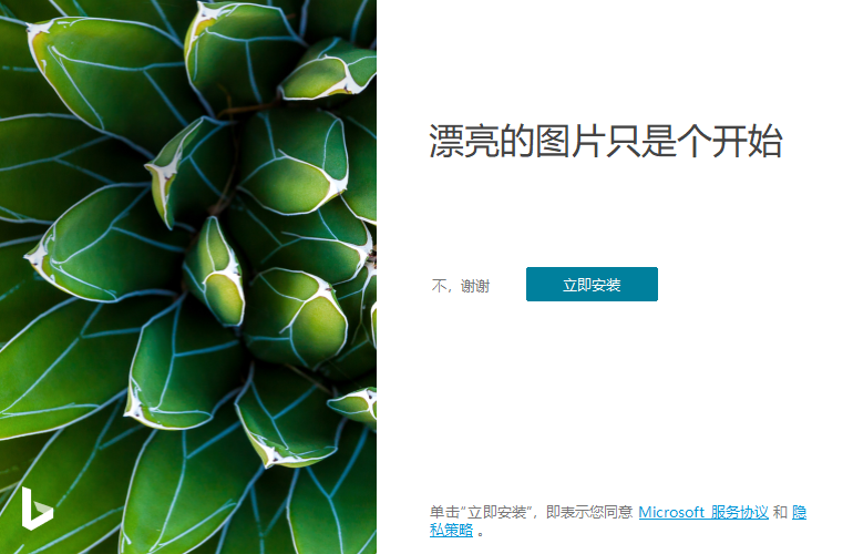 Bing Wallpaper v2.0.1.4中文版-趣奇资源网-第6张图片