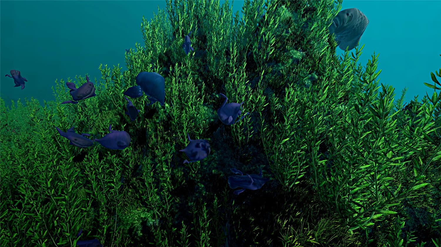 《生态系统》v1.0.0中文版-趣奇资源网-第10张图片