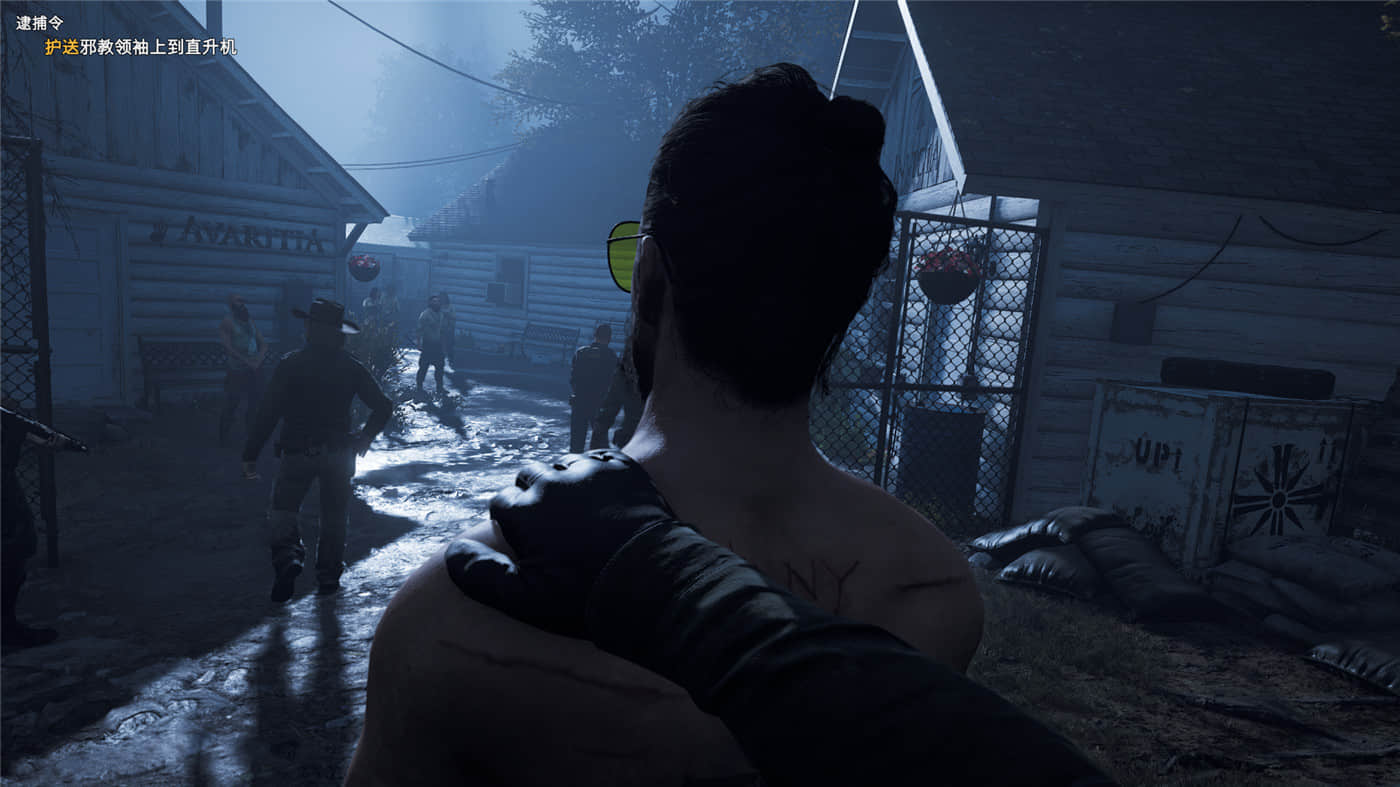 《孤岛惊魂5》v1.011黄金版 附历代合集-趣奇资源网-第6张图片