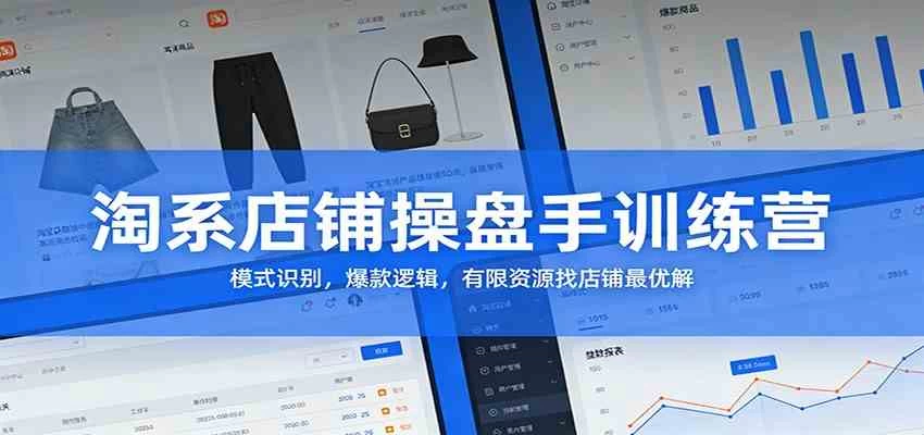 淘系店铺操盘手训练营：模式识别，爆款逻辑，有限资源找店铺最优解