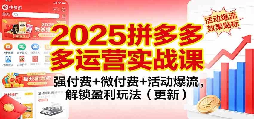 2025拼多多运营实战课：强付费+微付费+活动爆流，解锁盈利玩法（更新）