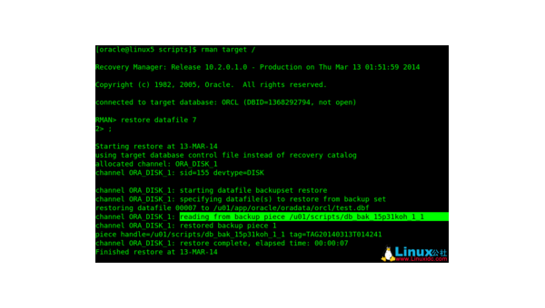 Linux 中如何快速备份和恢复重要数据
