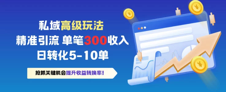 私域高级玩法，精准引流，单笔3张收益，日转化5-10单