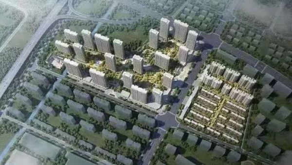 院子里种腊梅花风水怎么样