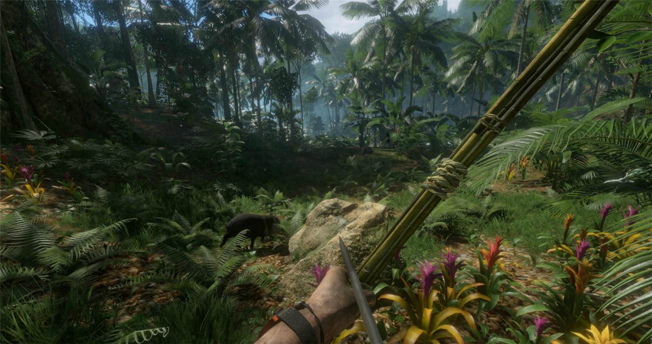 《绿色地狱》v2.9.0中文版-趣奇资源网-第9张图片 《绿色地狱》v2.9.0中文版-趣奇资源网-第9张图片