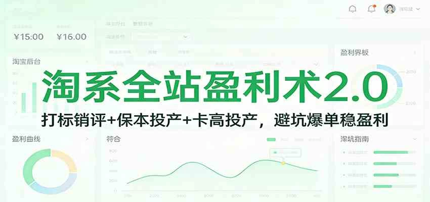 淘系全站盈利术2.0：打标销评+保本投产+卡高投产，避坑爆单稳盈利