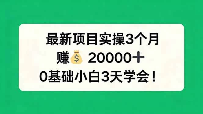 （17856期）最新项目实操3个月，赚钱20000+，0基础小白3天学会！
