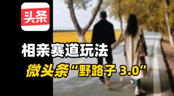 微头条“野路子3.0”相亲赛道玩法，搬砖式操作单号稳定3张