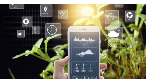 农业物联网平台：轻量级 IDE 与传感器数据处理工具链