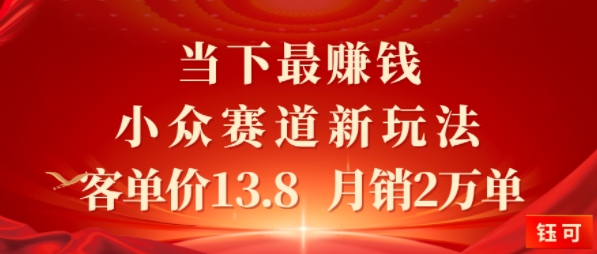 当下最挣钱的小众赛道 小红书新玩法10个作品涨粉3W，客单价13.8  月销2W单