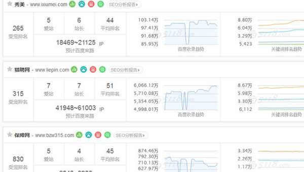 服务器选择与网站 SEO：匹配最佳性能