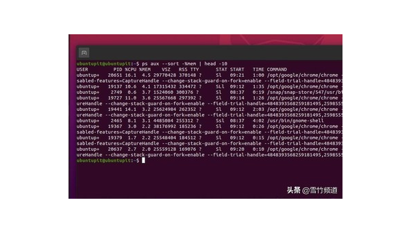 Linux 中如何查看和管理 CPU 使用情况