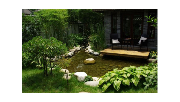 院子里种芙蓉花风水怎样